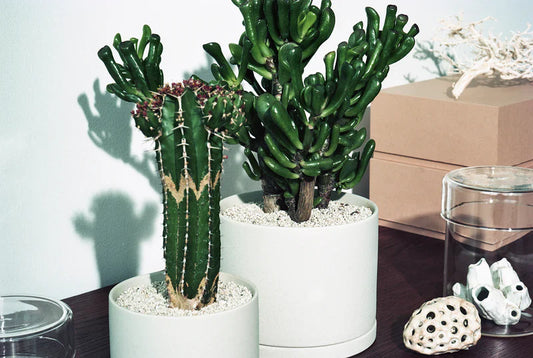 Golden Week Holiday Hours 2025