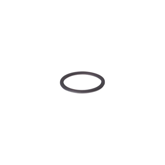 Black O-ring on a white background