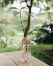 Load image into Gallery viewer, AQUA CULTURE VASE 80mm
